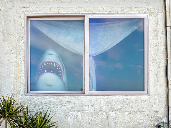ITEM 20: "Summer Visitors to Santa Cruz, 2016" by Ted Orland