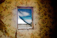 Nicholas Fedak II "Rear Window"