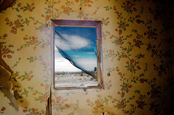 Nicholas Fedak II "Rear Window"