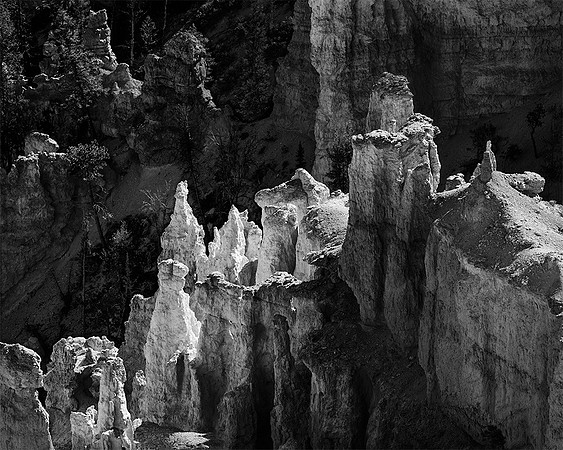 "Backlit Hoodoos"