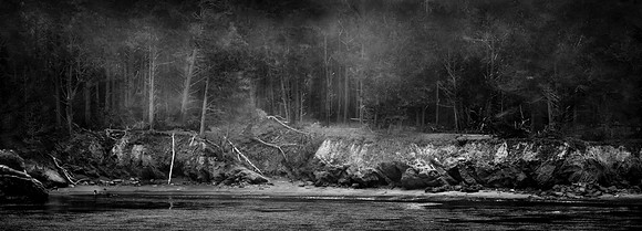 "Drifting Fog - Point Lobos"