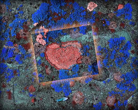 "Love This Planet"