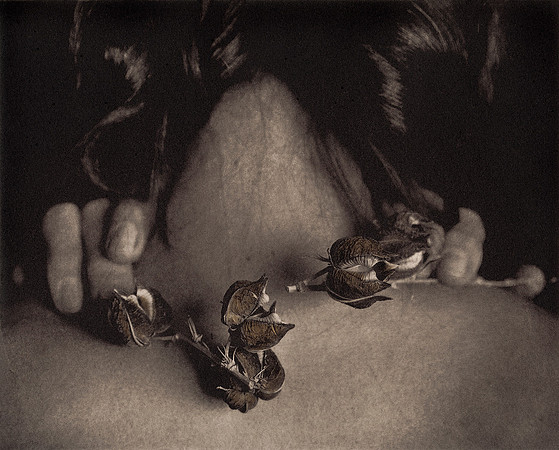 "Remnants 4"