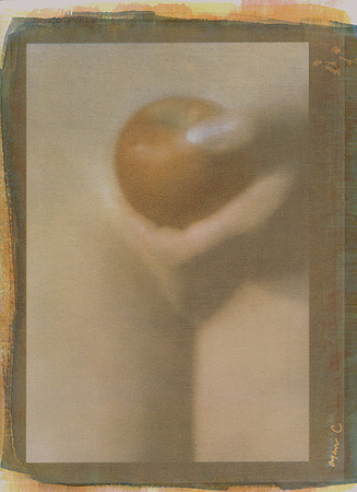 "Eve's Apple" by Barbara Wilson