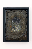 "Shell Tide Pool" by Annie Claflin