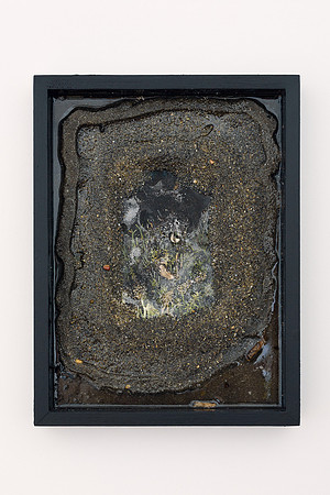 "Shell Tide Pool" by Annie Claflin