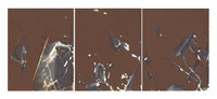"Finitogram (Triptych), 2024" by Ellen Carey