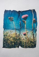 "Thistles" by Erin Koger