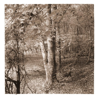 "Fews Ford - Path" by Holden Richards