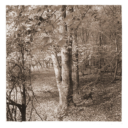 "Fews Ford - Path" by Holden Richards