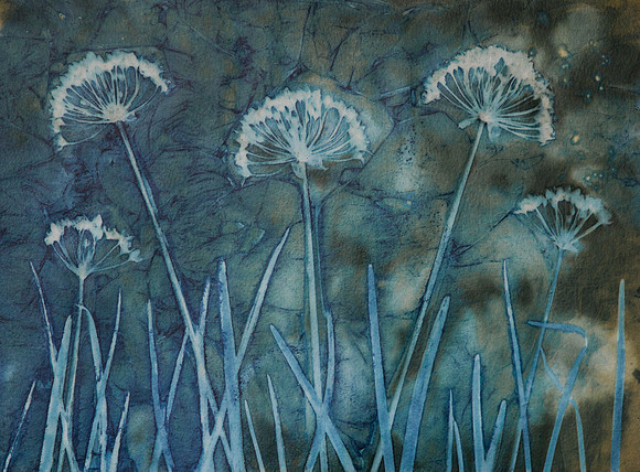 "Allium Fields Forever" by Debra Small