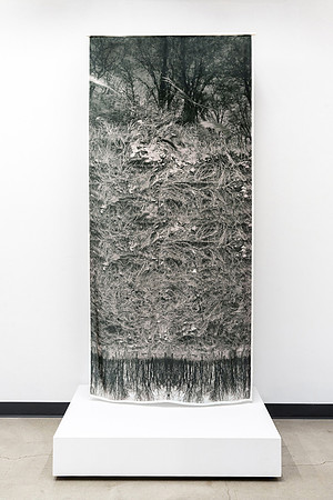 "Ground/Water (Sensiba), 2023"