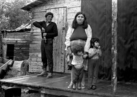 "Algonquian Family"