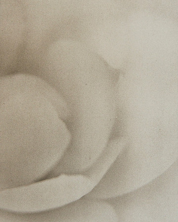 “Silent Muse”