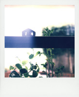 ITEM 05: "Untitled Polaroid, 2023" by Amy Caterina