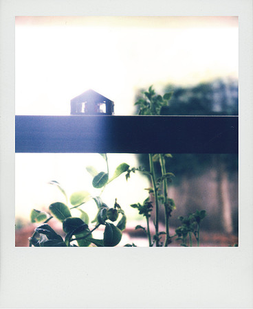 ITEM 05: "Untitled Polaroid, 2023" by Amy Caterina