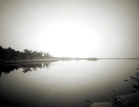 ITEM 02: "Pocosin Refuge" by Diana H. Bloomfield