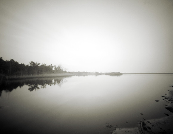 ITEM 02: "Pocosin Refuge" by Diana H. Bloomfield