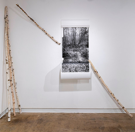 "Ground/Water (Kangaroo Lake), 2024"