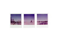 "Highway 120, Mono Basin"