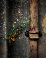 BOB YOUNGER