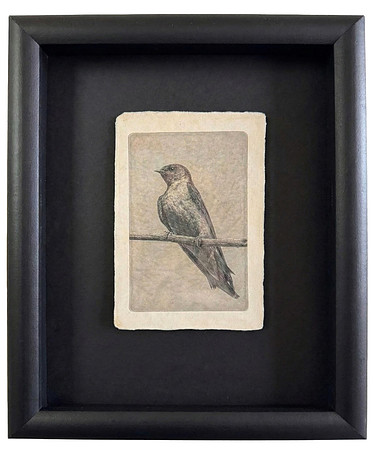 "Big Bear Swallow"