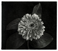 DEB HELLMAN