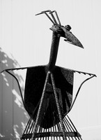 "Rake Bird"