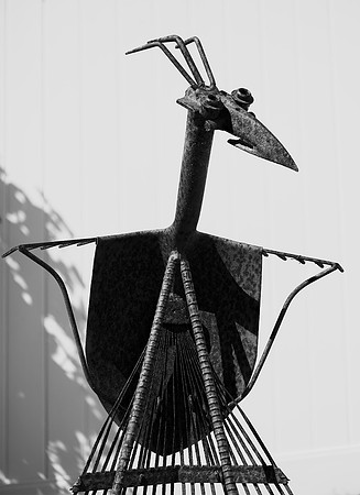"Rake Bird"