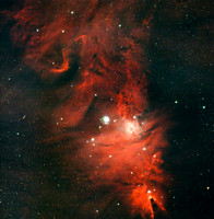 "Cat's Fur Nebula"
