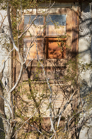 "Untitled, Desert Hot Springs"