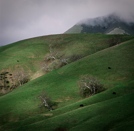 "California Central Coast 1 "