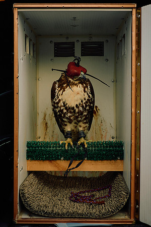 David Fouts