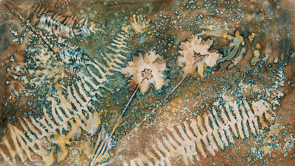 BBeck_Wild Garden No2_Wet Cyanotype Tea Toned hand colored