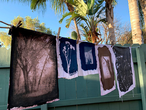 Beck - Cyano drying on line_MG_1951