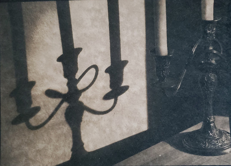 "Afternoon Shadows"