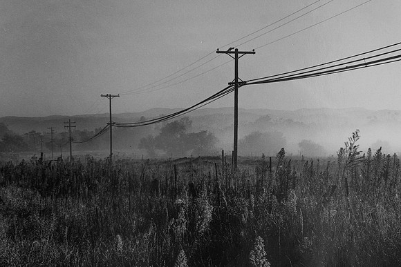 "Telephone Poles"
