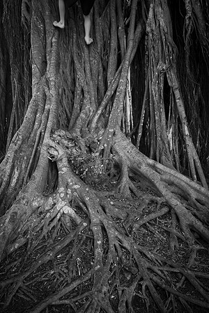 "The Climb" - Matted Print