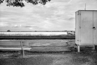 "Riverview Bench"