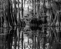 "Saw Mill Pond #1"