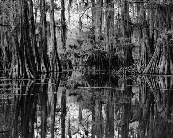 "Saw Mill Pond #1"