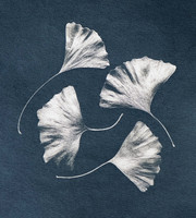 DEB HELLMAN