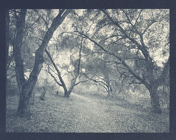 "Keithley Preserve"