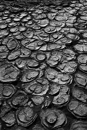 "Hardened Mud"