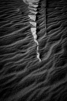 "Spinal Dune"