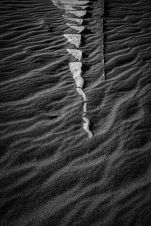 "Spinal Dune"