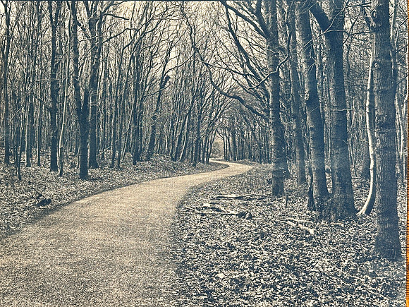 "Bakkum Duinen Return I"