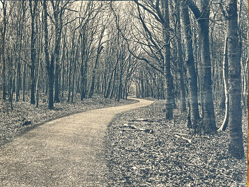 "Bakkum Duinen Return I"