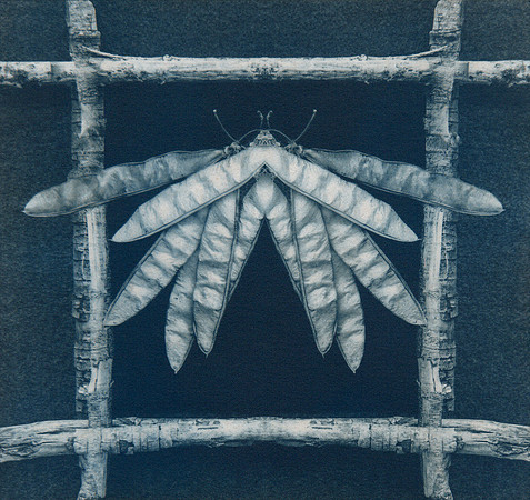 "Curiosity #1"