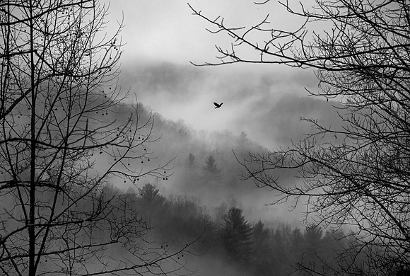 "Raven Floating on the Mist"